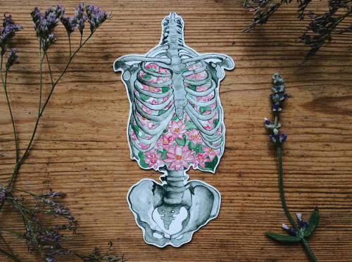 Anatomy Sticker //OssuariumFloreus
