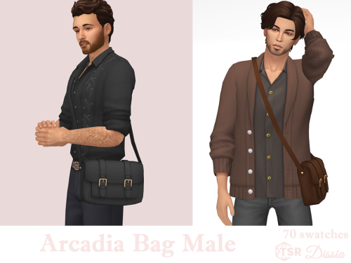 Arcadia Bag Male