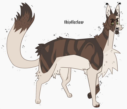 starflowerstar: #41. thistleclawvery loosely designed off of kenny twd because i think theyre simila