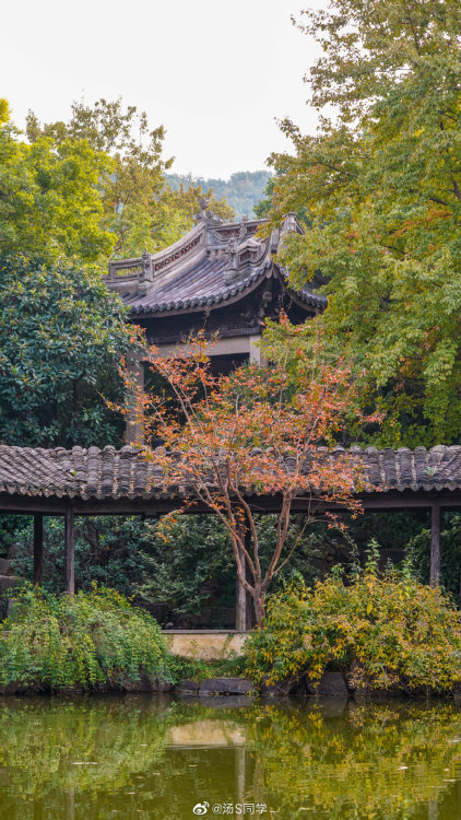 fuckyeahchinesegarden: huishan guzhen惠山古镇, wuxi, jiangsu province by 汤S同学