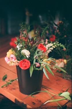 meetmyzenit:  Spring bouquet in the making