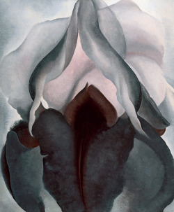 #MujeresArtistas: Georgia O'Keeffe - Black Iris (1926).