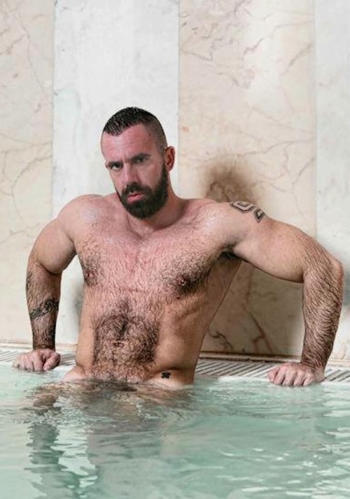 sambrcln:  Follow my two hairy men blogs: http://sambrcln.tumblr.com http://hairysex.tumblr.com
