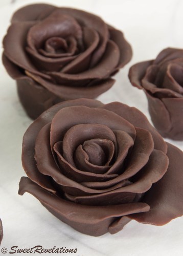 weeheartfood:  Dark Chocolate Roseshttp://sweetrevelations.net/2011/11/20/dark-chocolate-roses/