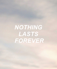 swiftall-lyrics: wonderland // wildest dreams