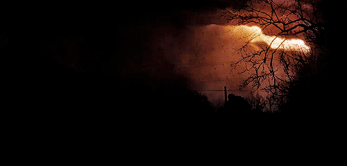 mquinn88:The world is turning upside down.