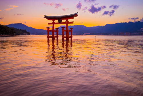 ourbedtimedreams:Itsukushima (Miyajima) - Torii (5) by ジェイリー on Flickr.