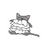 cat-with-a-frock