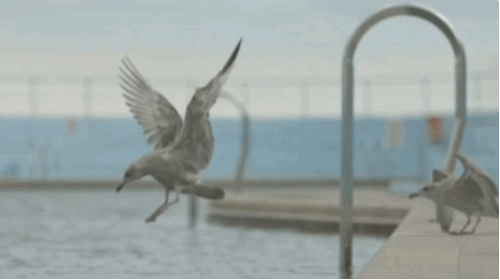 All that you GIF