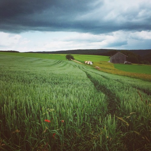 Falls mir noch jemand auf Instagram folgen möchte&hellip; https://instagram.com/claudiarndt/