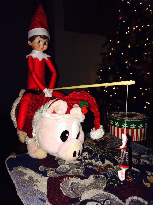 Elf on the Shelf Ideas