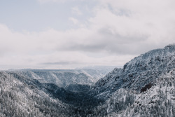 irisryu:  Flagstaff, Arizona. 2016 