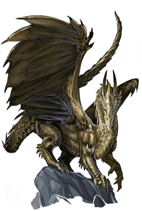 creaturesfromdreams:  Young Dragons by Ben Wootten —-x—- More: | Dragons | Random |CfD Amazon.com Store| 