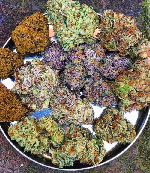 dank-purps: Where would you start?? tag someone you’d blaze this mad bud collection with  @coo