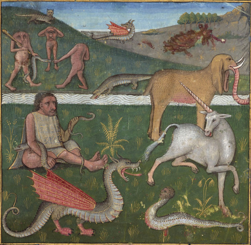 discardingimages:wildlife of EthiopiaLe secret de l'histoire naturelle, France ca. 1480-1485BnF, Fra