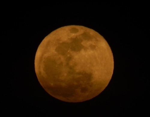 storyoftheviper:  Full Moons 2015
