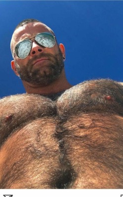 Pecs and trailz.