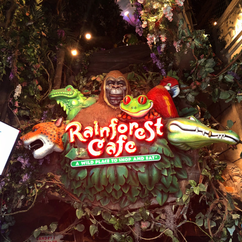 Lunch in the rainforest @rainforest_cafe . . . . #rainforestcafe #wanderlust #photography #travel #t