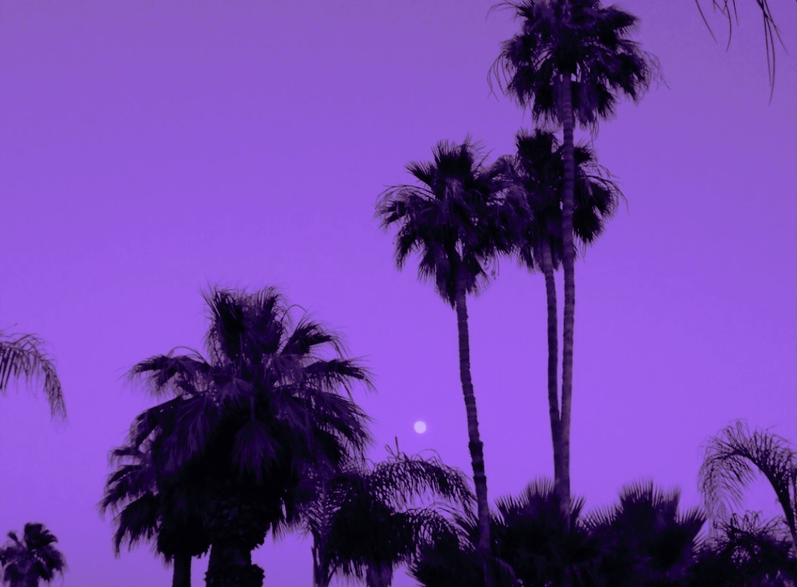 PURPLE AESTHETICS — soft and tender.