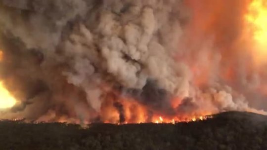 karlrincon:Let’s talk about what’s happening in Australia, which is suffering its worst bushfire season in recorded history.This almost unimaginable catastrophe has killed half a billion animals with more than 14.5 million acres burned and released