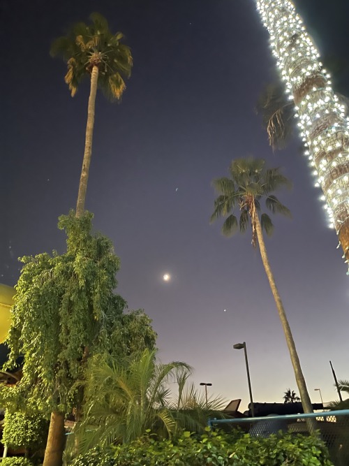 8/11.2021 (2) - the moon and venus looked amazing in the arizona evening sky