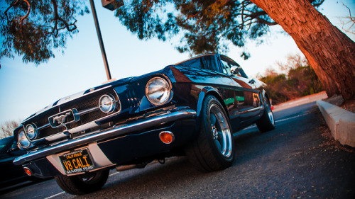 clean-asf: ‘66 Mustang Fastback