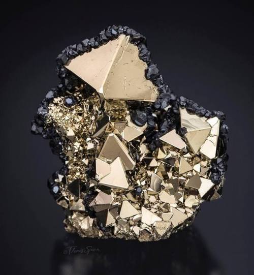 geologyin-blog:Pyrite at its finest still has the ability to amaze. This beauty from Peru shows fant