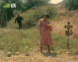 Το δέντρο που πληγώναμε / The tree we hurt (1986), by Dimos AvdeliodesThe tree that we hurt, referri