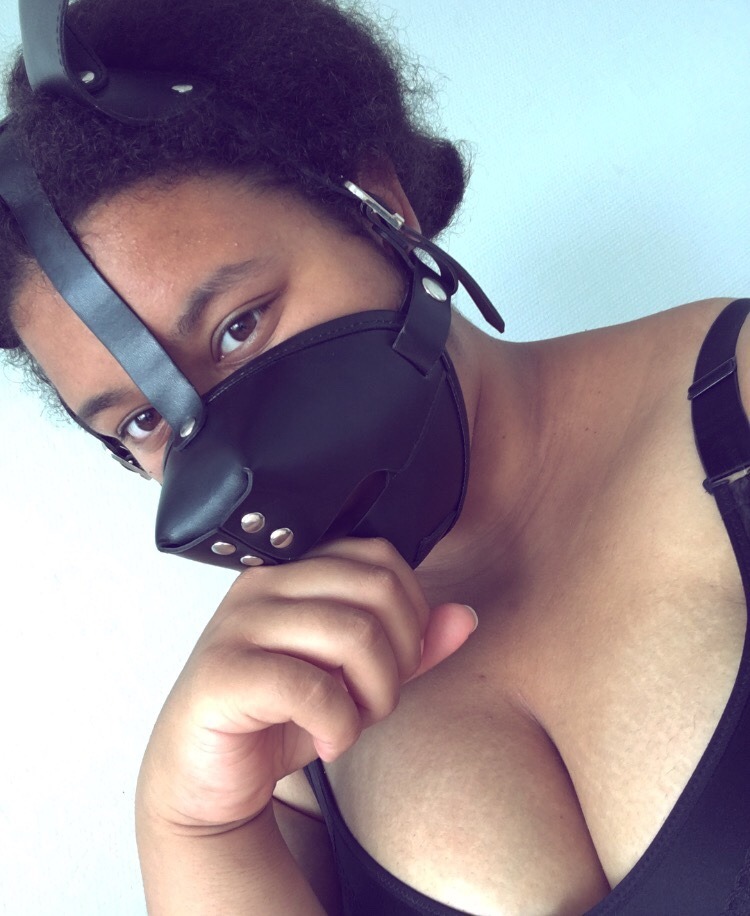 pup-nala:This pup finally made it to Sweden 