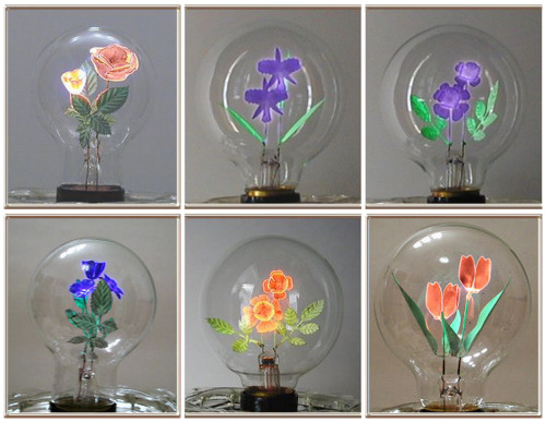 internet-presence:Aerolux lightbulbs
