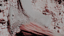 dianadeclaremont:endless list of favourite historical figures ( 2/∾ )     ↳ mary anning“the carpente