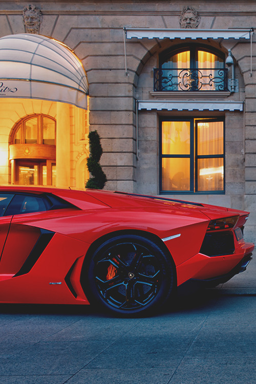 mistergoodlife:  Bull at the Ritz ║ Via ║ Goodlife 