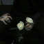 asleepforevermaybe-blog