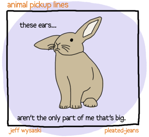 Porn pleatedjeans:  Round 2: Animal Pickup Lines photos