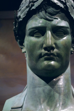 artschoolglasses: Bust of Napoleon Bonaparte