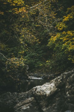 deeplovephotography:  flickr | facebook | society6 