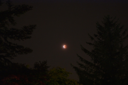 Lunar Eclipse - 2015-09-28