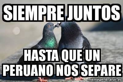 bien-ctm:  Siempre Siempre