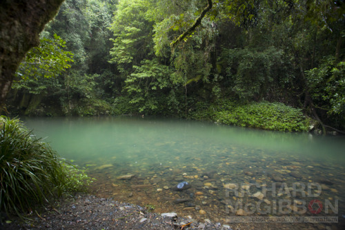 oceaniatropics:  Crystal Pool on the Williams River, Barrington Tops National Park, NSW, Australia
