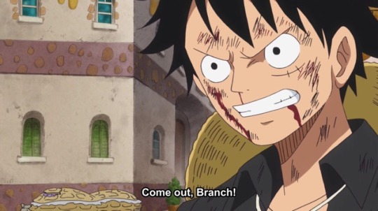 Where Shall We Go Luffy Luffy Episode 859 Of One Piece This Episode Where Shall We Go Luffy Luffy Episode 859 Of One Piece This Episode