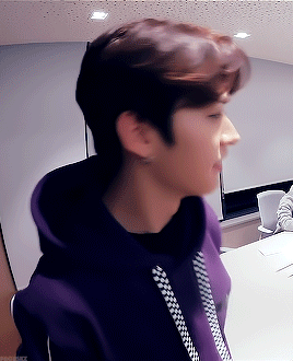 prodskz: [ 1-4 / ] gifs of minho