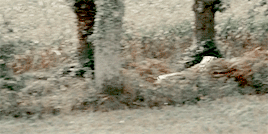 renaissaence:  Arthur &amp; Molly Weasley  Arthur played the role of a well-meaning,
