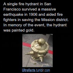 ultrafacts:  karkhakis:ultrafacts:Source For more facts follow Ultrafactsi am proud of that fire hydrant  Here’s an interesting factEvery year on the anniversary of the Great 1906 Earthquake, the heroic fire hydrant at 20th and Church Streets that saved