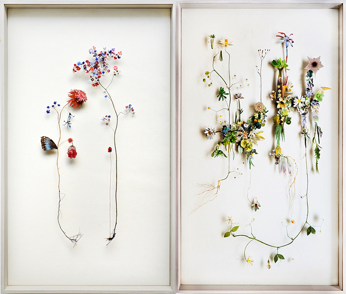 Flower Constructions by Anne Ten Donkelaar