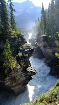 amazinglybeautifulphotography:Athabasca Falls, Alberta, Canada [OC] [3000 x 5332] - Sizzla25