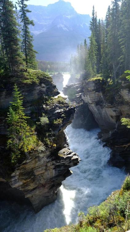 amazinglybeautifulphotography:Athabasca Falls, Alberta, Canada [OC] [3000 x 5332] - Sizzla25