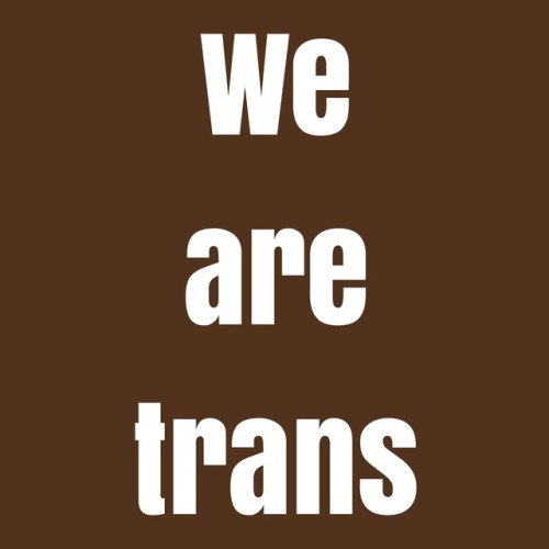 brownandtrans: We are trans people of color. We exist. Don’t forget us in your activism