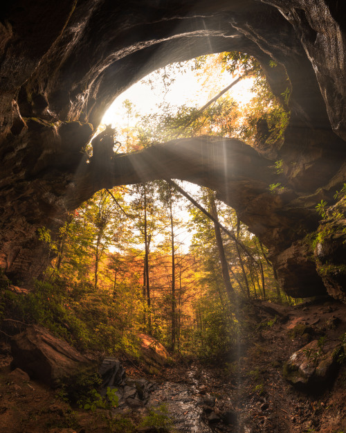 amazinglybeautifulphotography:Autumn under Hopewell Arch in the Red River Gorge of Kentucky [OC][2400x3000] - Author: mattmacphersonphoto on reddit