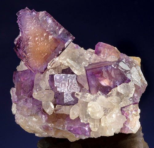 mineralists:  Zoned purple and yellow crystals of Fluorite with Calcite.Qzark-Mahoning Company, Illinois