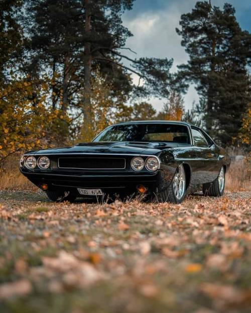 yourcarsstuff:  1970 Dodge Challenger